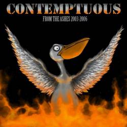 Contemptuous : From the Ashes 2003-2006